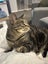 Jasmine – A Gorgeous Girl Who Just Wants Love Carousel 4