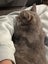 Jonah & Jinx – A Sweet Sibling Duo Looking for Their Person Carousel 3