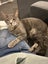 Jonah & Jinx – A Sweet Sibling Duo Looking for Their Person Carousel 17