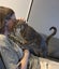 Jonah & Jinx – A Sweet Sibling Duo Looking for Their Person Carousel 15