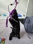 Rescue Kitten "Nova" - a little black panther Carousel 1