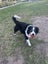 Our gorgeous girl needs a new home Carousel 3