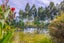 gallery view thumbnail