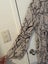 State of Play (Farmers) dress sz12 Carousel 3
