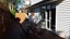 gallery view thumbnail