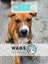 Meet Biscuit's Pup - CHIP Carousel 2