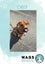 Meet Biscuit's Pup - CHIP Carousel 1