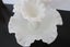 ***VINTAGE FENTON WHITE MILK GLASS HOBNAIL EPERGNE*** Carousel 3