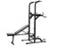 Power Tower Pull Up and Dip Station Adjustable Carousel 2