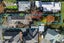 gallery view thumbnail