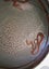 <<< STUDIO "LOIS?? " POTTERY BOWL >>> Carousel 14