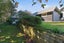 gallery view thumbnail