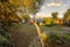 gallery view thumbnail