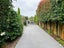 gallery view thumbnail