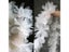 10Pcs 3D Flower Lace Applique For Clothes Decoration Carousel 2