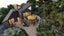 gallery view thumbnail
