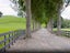gallery view thumbnail