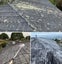 Auck/Need paint your roof ?Roof paint( Northshore) Carousel 19