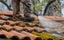 Auck/Need paint your roof ?Roof paint( Northshore) Carousel 20