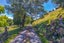 gallery view thumbnail