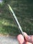 GREENSTONE ROIMATA TEARDROP NEW < $$$1-00 RES > This would make a lovely Gift > Carousel 5
