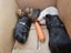 3 adult male guinea pigs Carousel 7