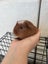 Baby Crested Guinea Pigs Carousel 5