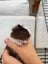 Baby Crested Guinea Pigs Carousel 4