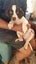 Beautiful Family/Hunting Pups Carousel 3