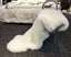 60%OFF NZ Premium Grade XLarge Long-wool Double Sheepskin Rug Carousel 2