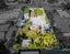 gallery view thumbnail