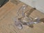 Vintage Princess House Crystal Art Glass Flying Dove Figurine / Dish Carousel 3