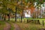 gallery view thumbnail