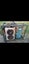 Loading Image 1 of 1