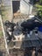 Loading Image 2 of 4