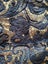 Loading Image 1 of 3