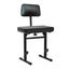 Keyboard Piano Stool Bench Chair Seat Carousel 12