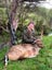 Deer Hunting At Its Best Carousel 20