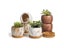 Creative Ceramic Succulent Vase For Home Office Decor Carousel 2