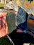1$reserve Greenstone slabs Carousel 7