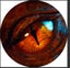 COASTERS GLASS- DESIGN- DRAGON EYE- GIFTS UNDER $20 Carousel 6