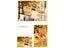 Diy Wooden Doll House Assembly Model Kit For Gifts And Decor Carousel 6