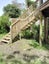 Builder Auckland | Bathrooms, Renovations, Outdoor Carousel 12
