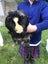 2 x Free Guinea Pigs Carousel 1