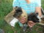 Baby Guinea Pigs Carousel 5