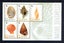 3683. NZ - 2015 Native Seashells Minisheet - UHM Carousel 1