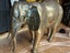 Stainless Restoring Franchise for sale Carousel 11