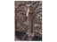Wall Fountain Solar with Solar Pump Carousel 5