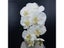 10 Heads Big Artificial Butterfly Orchid Bouquet For Home Wedding Carousel 1