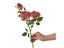 3 Head Artificial Vintage Rose Bouquet For Home Decor Carousel 6